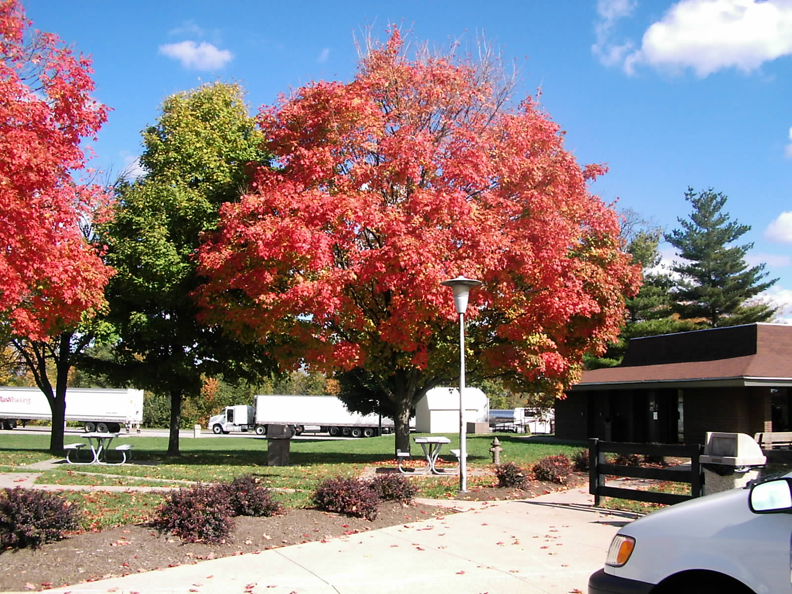 ./2005/KC Roadtrip/KC Roadtrip 0ct 05 0028.JPG